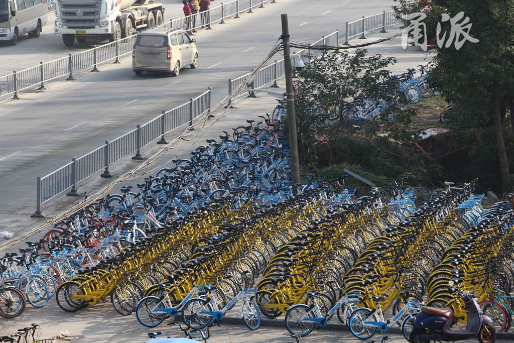 全宁波共享单车密度最高地铁站可能在这