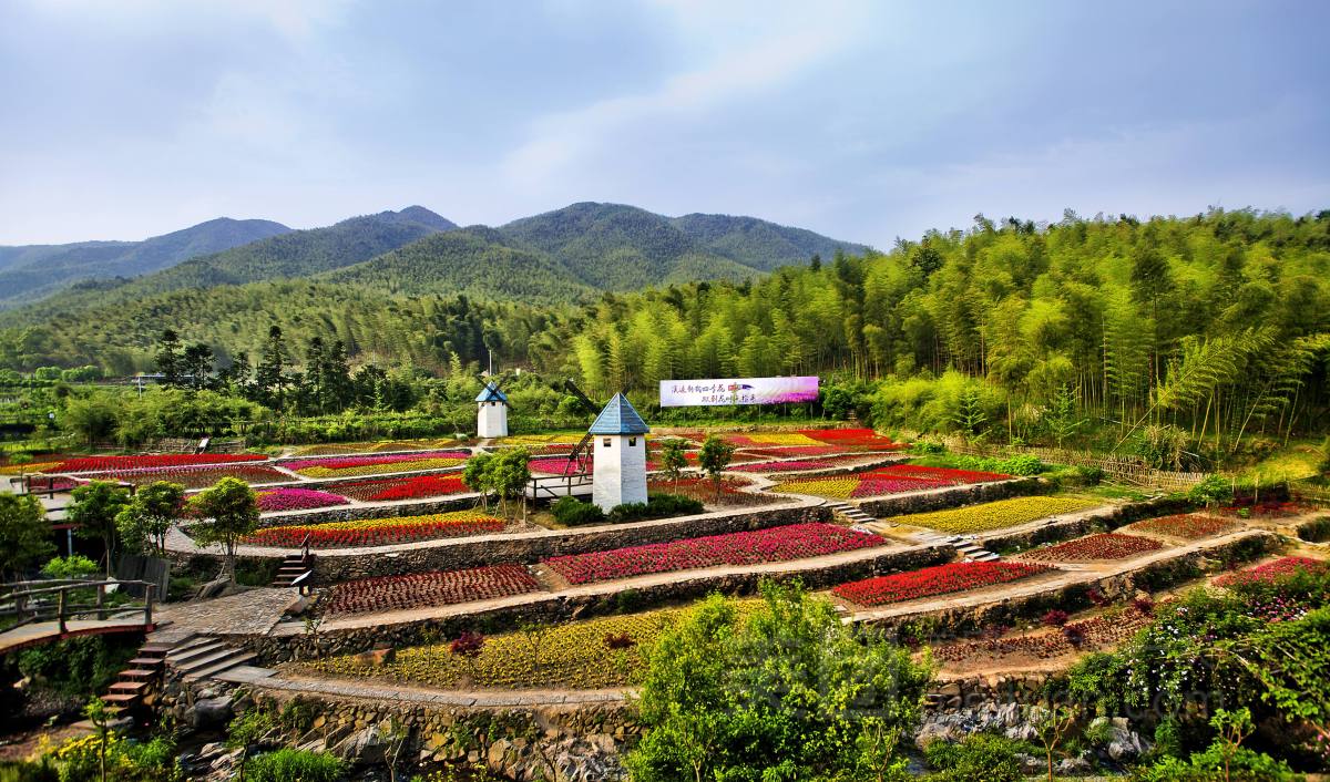 秋日花海荡漾,来这里观斑斓宁波
