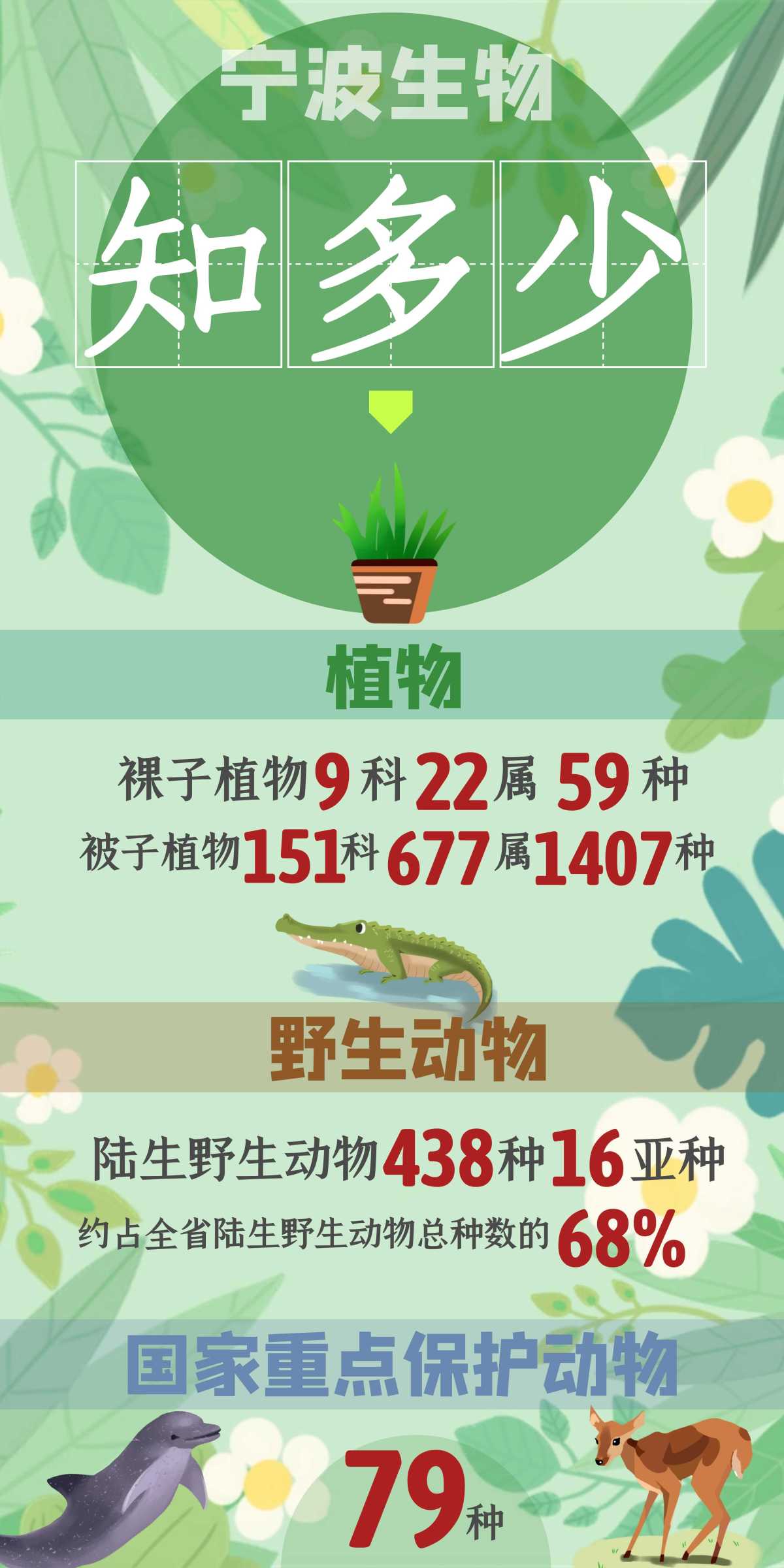 宁波生物大数据来了 陆生野生动物438种 被子植物1407种 甬上 宁波晚报 宁波都市传媒网 宁波生物大数据来了 陆生野生动物438种 被子植物1407种 甬上 宁波晚报 宁波都市传媒网