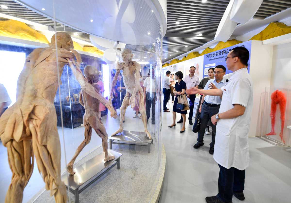 据了解,人体生命科学馆占地面积2300平方米,以1500多件人体标本为基础