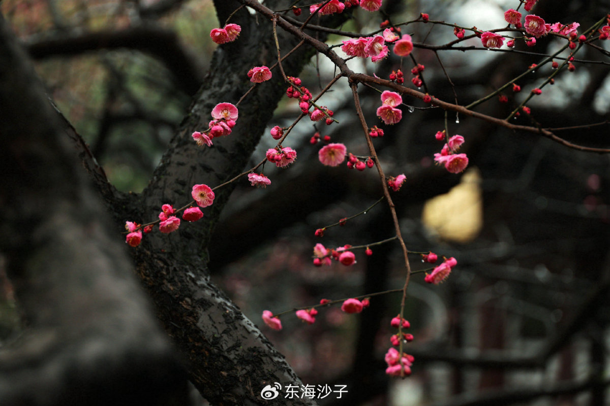 https://wx2.sinaimg.cn/large/bd7246d4ly1hlbq9xumh6j21900u010u.jpg