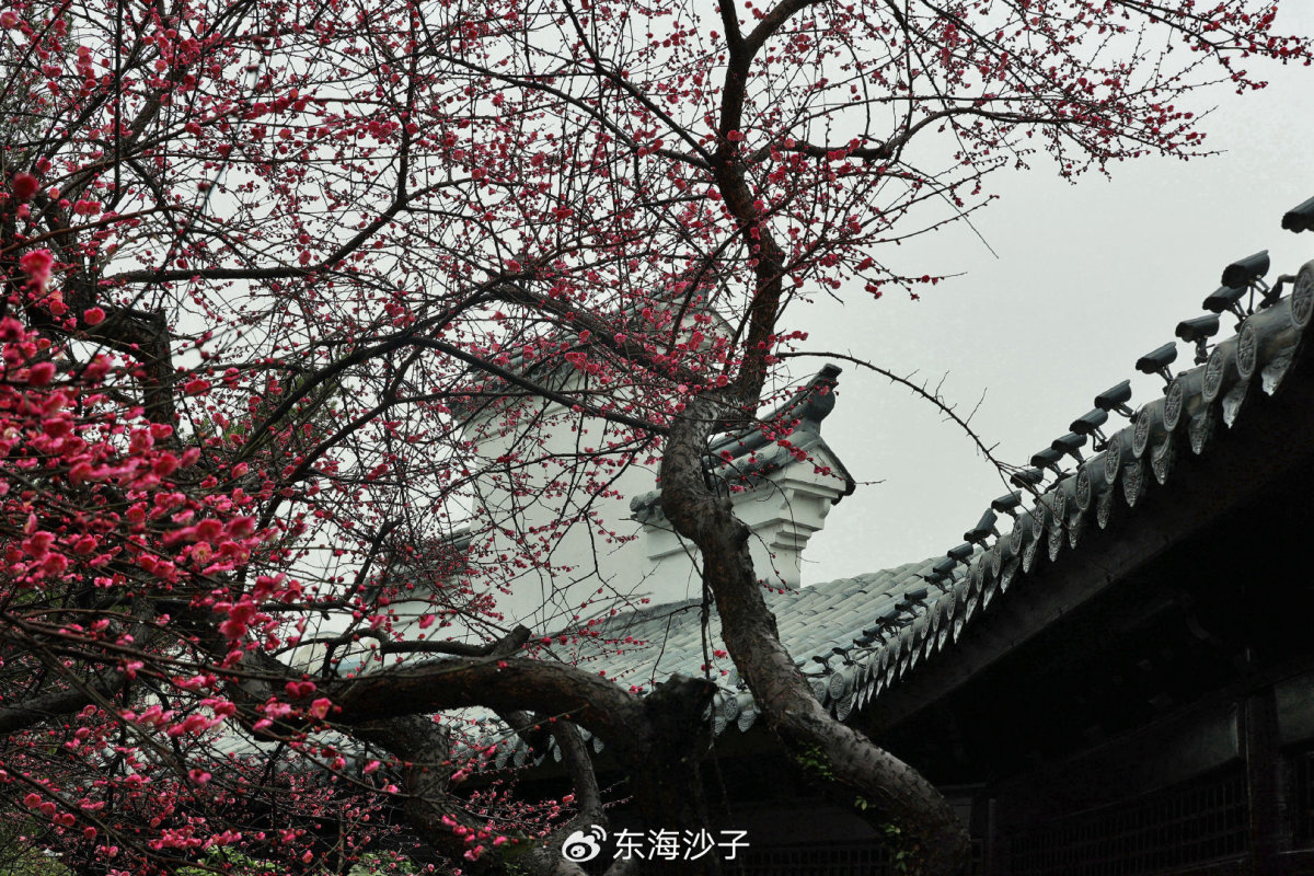 https://wx1.sinaimg.cn/large/bd7246d4ly1hlbq9xawsmj21900u01dc.jpg