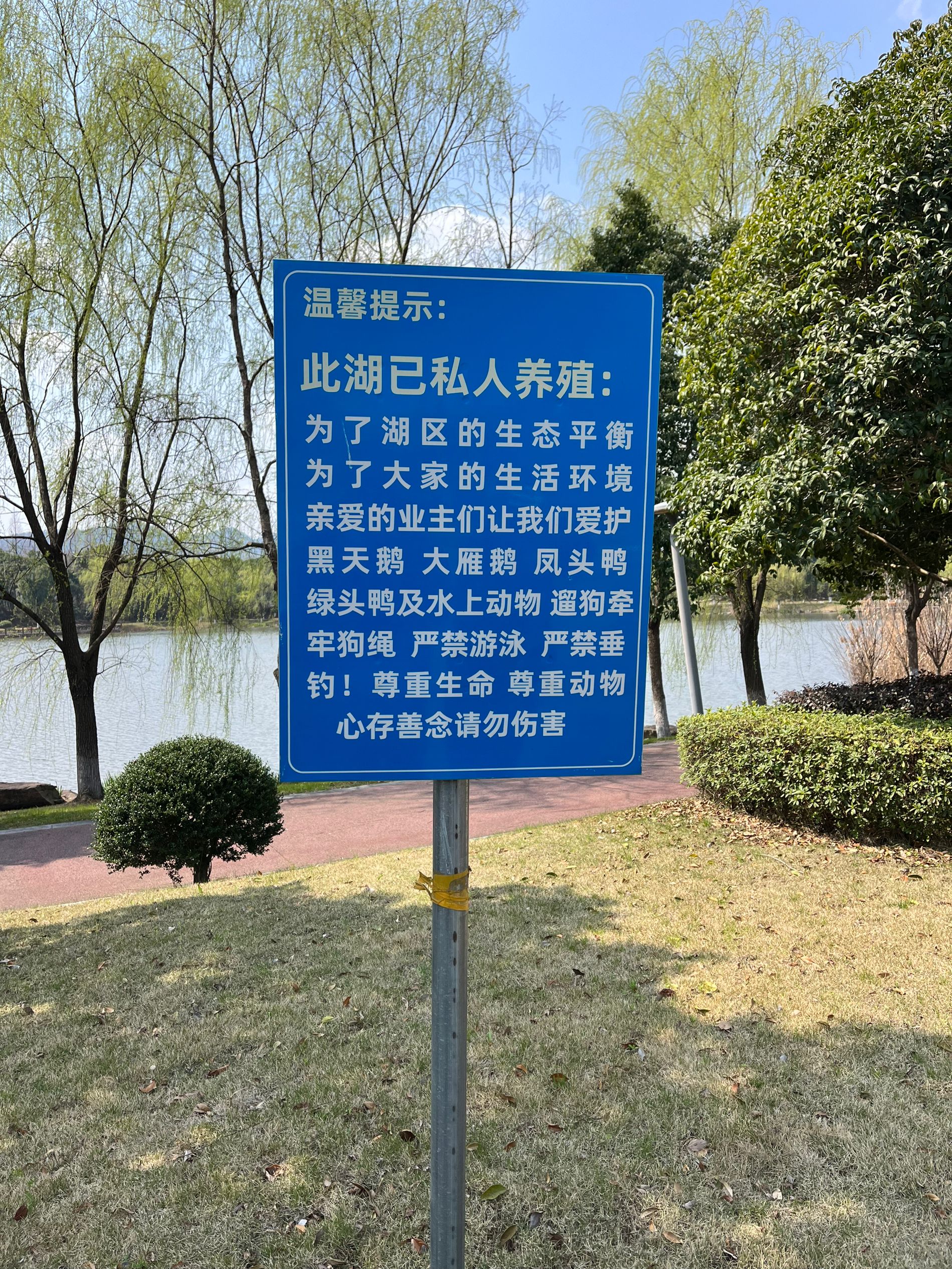 9A7E57C0BD21C9773937C7CF152C1295.jpg