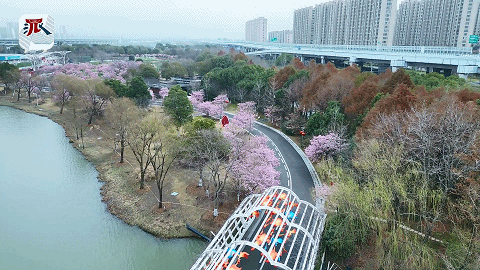 ���ˣ�������ӣ�����͡�������