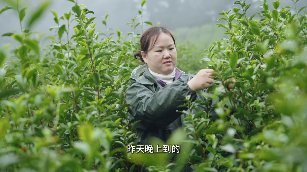 ������ ���������ժ����ʱ