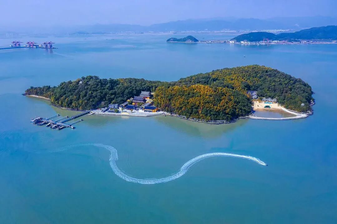 ������ɽ��������Ԥ�����ӭ��