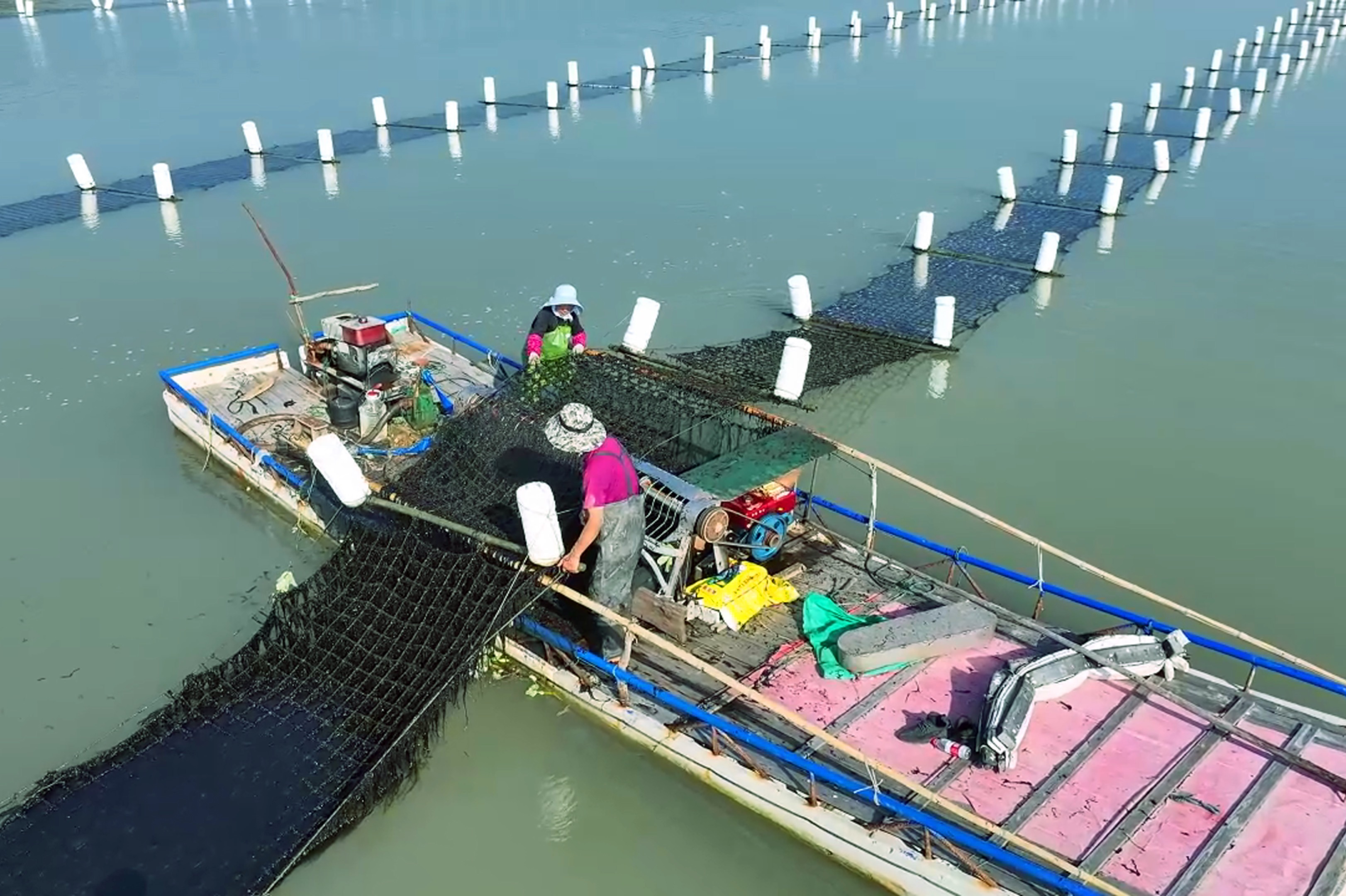 ���㶫1�š����Ը���41��Ķ