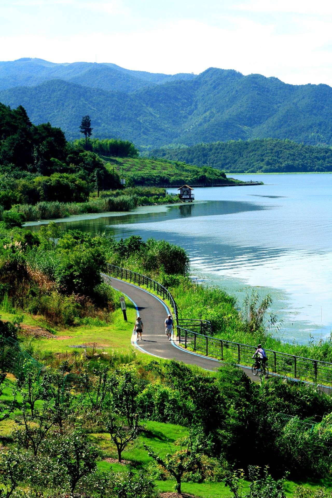 东钱湖骑行线,松兰山滨海步道…宁波首届绿道摄影大赛等你来